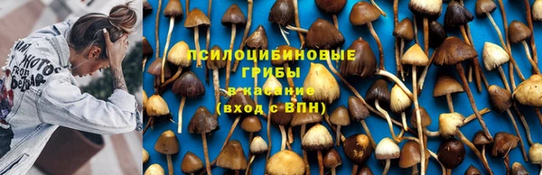 ешки Магас