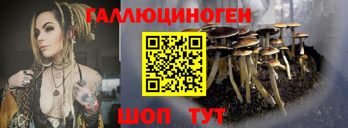 Галлюциногенные грибы Cubensis Первоуральск